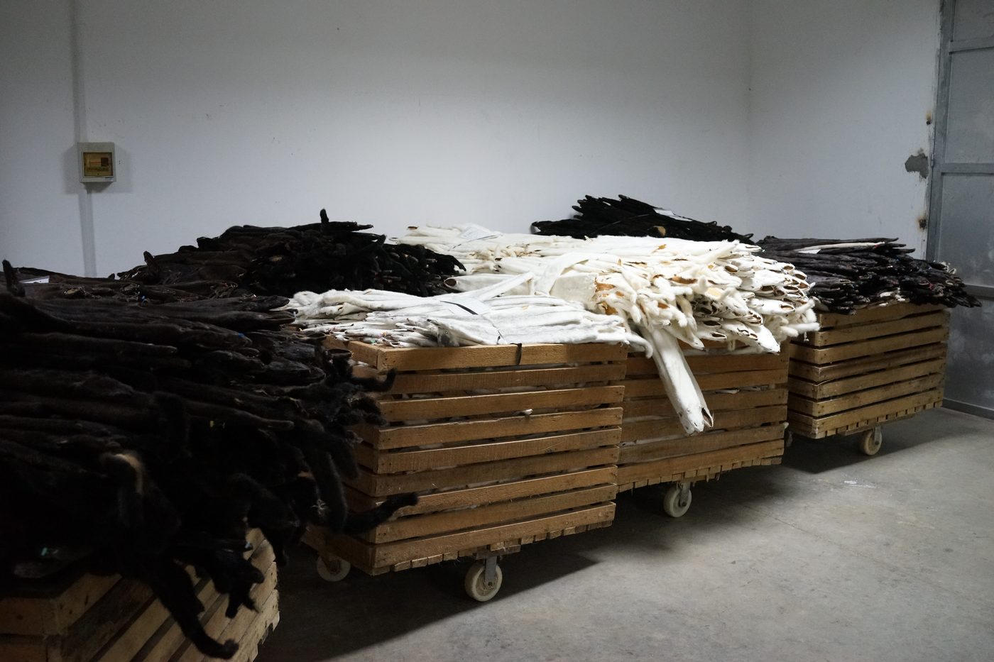 Black and white fur skins arranged for processing